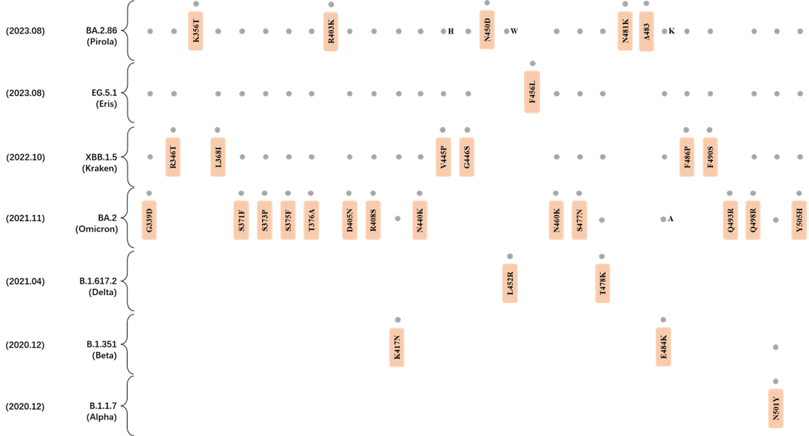 Main Mutations