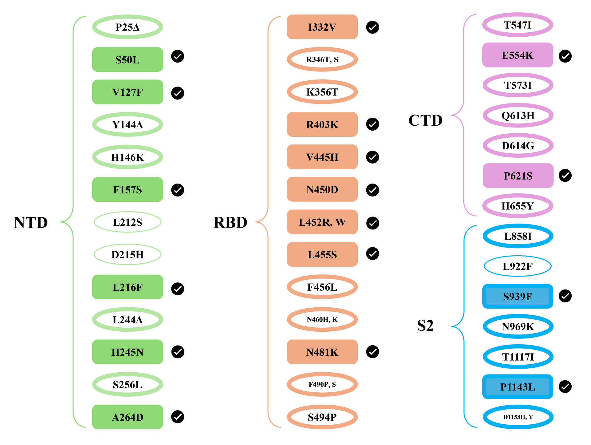 JN.1 Mutations