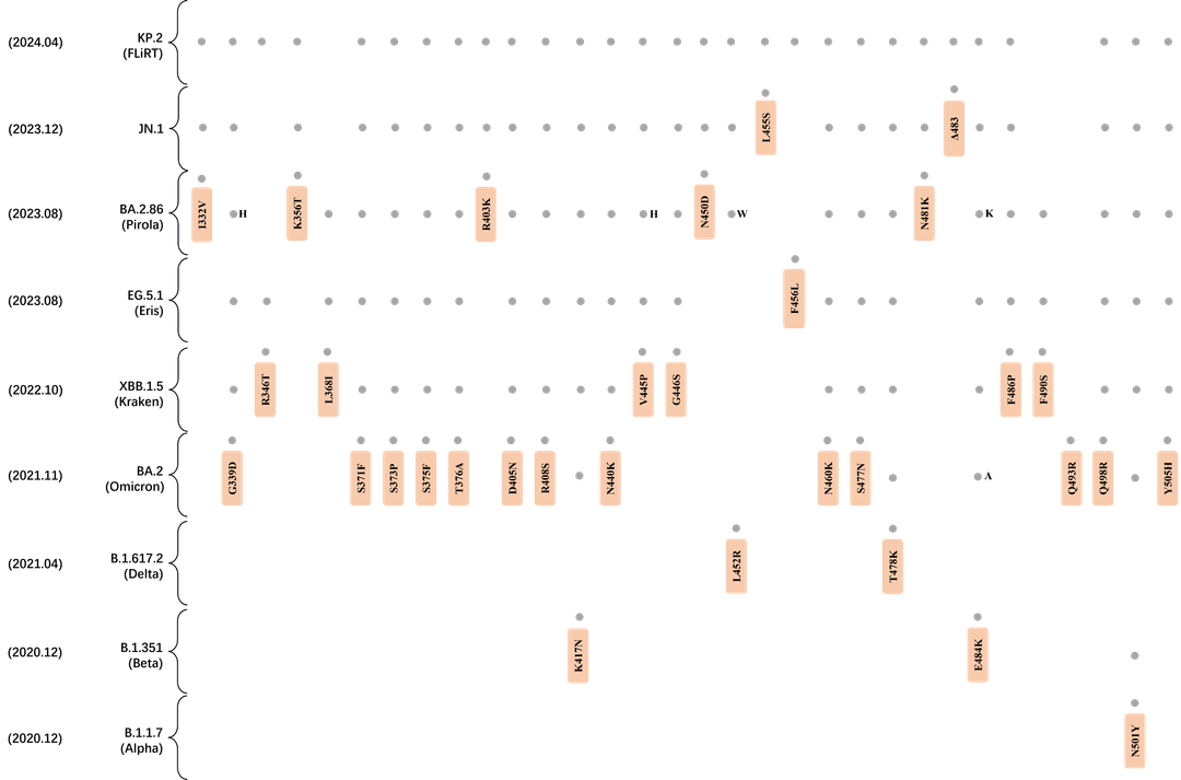 Mutation L455S