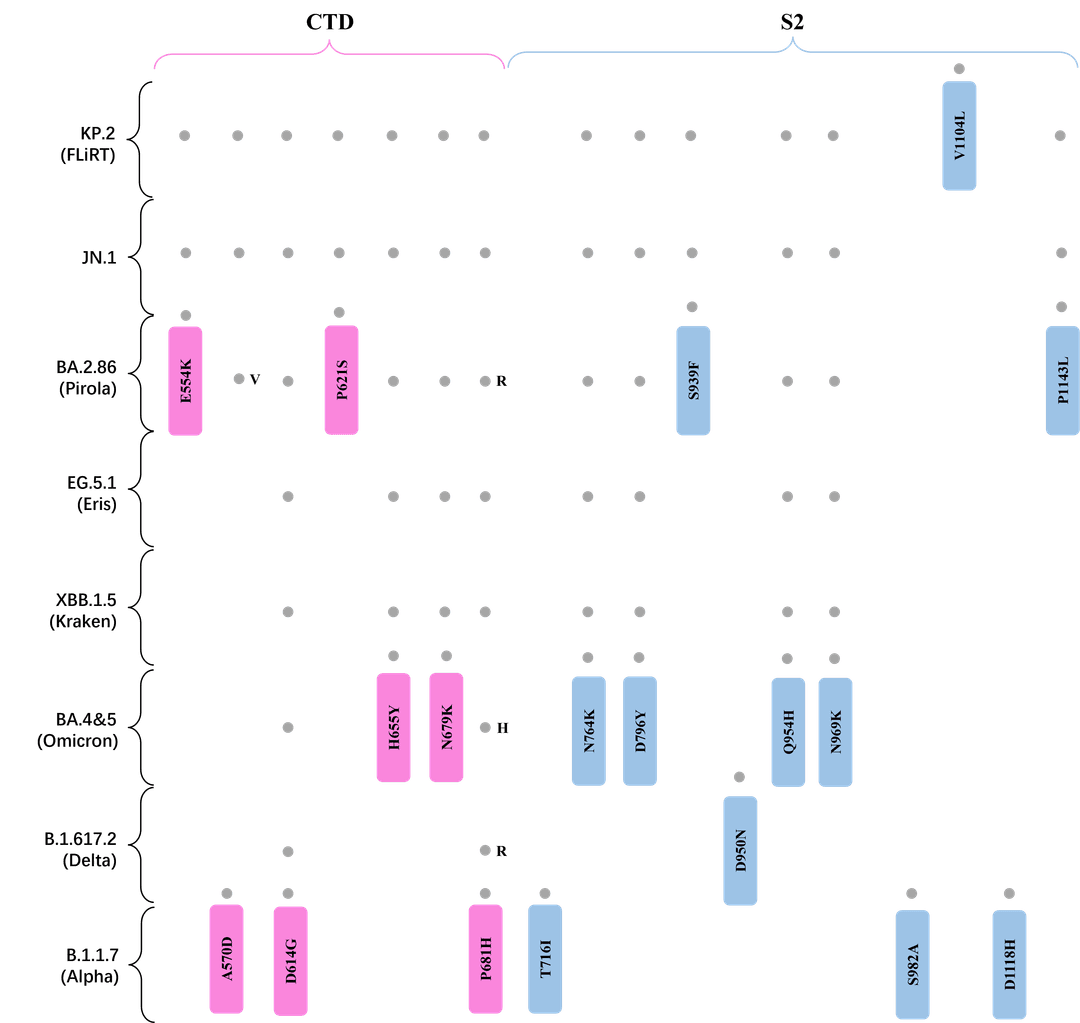 Mutation L455S