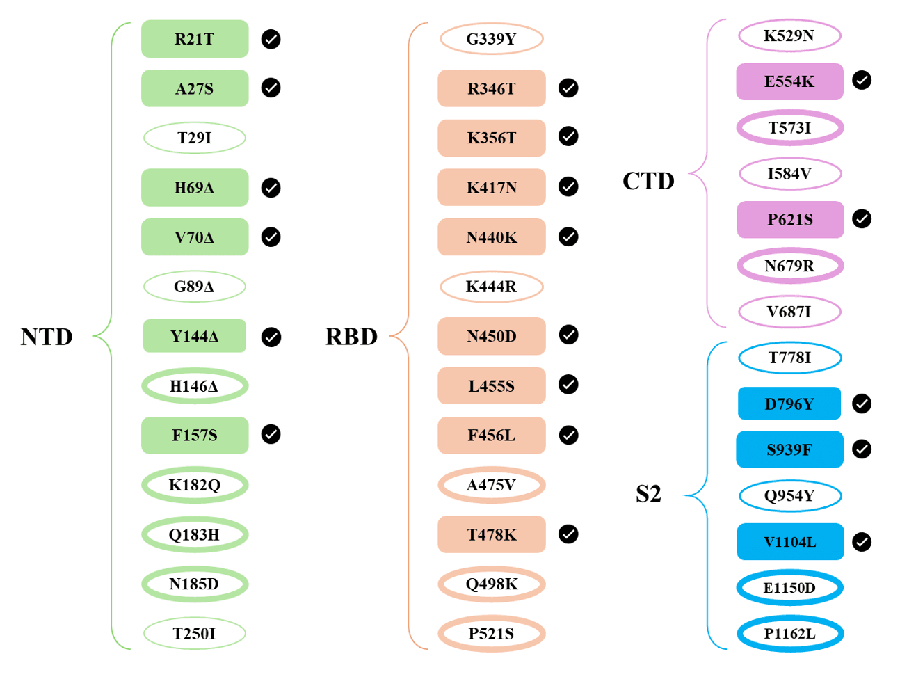 KP2 Mutations